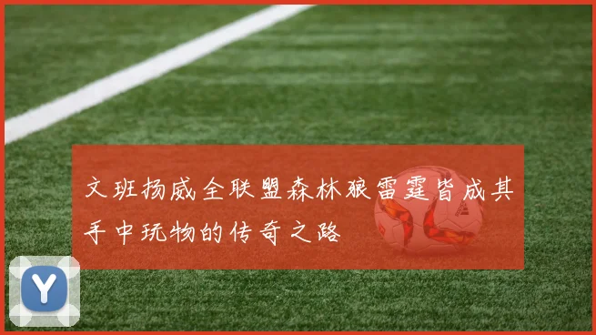文班扬威全联盟森林狼雷霆皆成其手中玩物的传奇之路